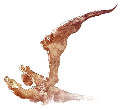 Dragón rojo de magia rúnica