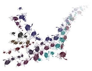 Enjambre de larvas voladoras de Nilio